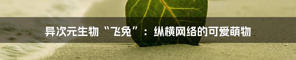 异次元生物“飞兔”：纵横网络的可爱萌物