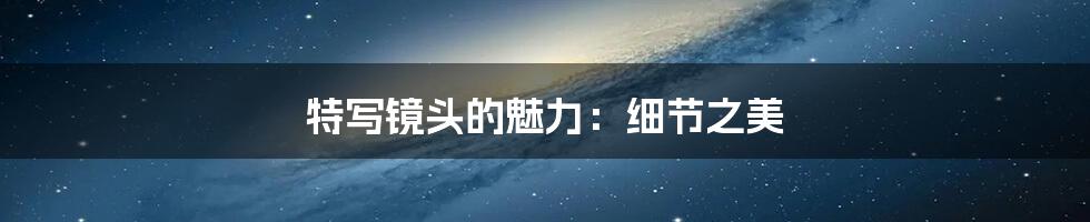 特写镜头的魅力:细节之美