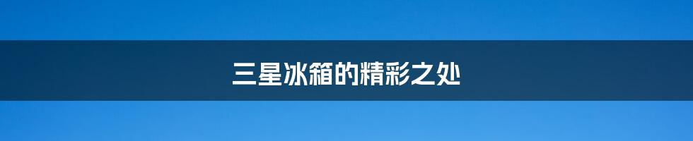 三星冰箱的精彩之处