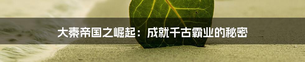 大秦帝国之崛起：成就千古霸业的秘密