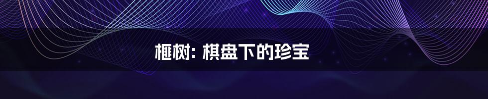 榧树: 棋盘下的珍宝