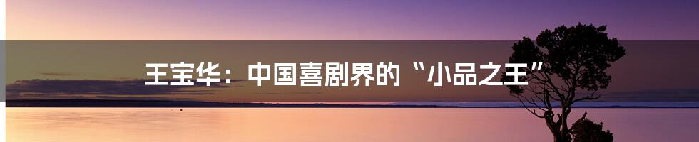 王宝华:中国喜剧界的“小品之王”