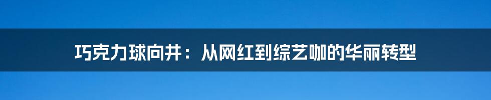 巧克力球向井：从网红到综艺咖的华丽转型