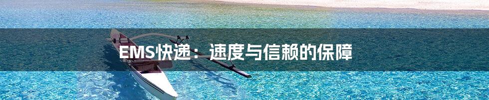 EMS快递：速度与信赖的保障
