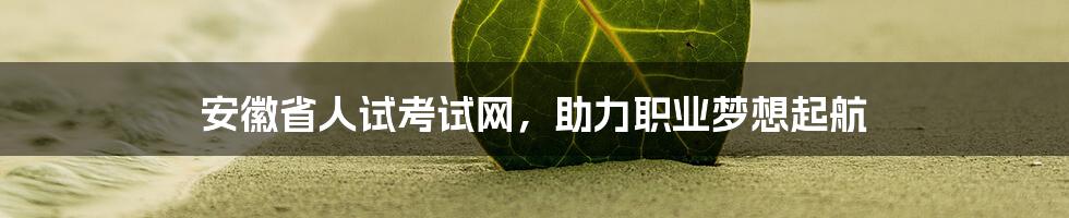 安徽省人试考试网,助力职业梦想起航