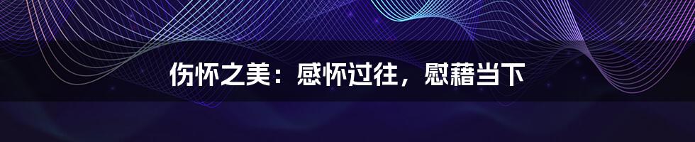 伤怀之美:感怀过往,慰藉当下