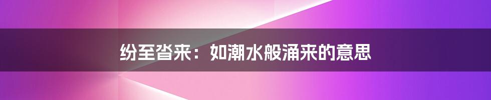 纷至沓来:如潮水般涌来的意思