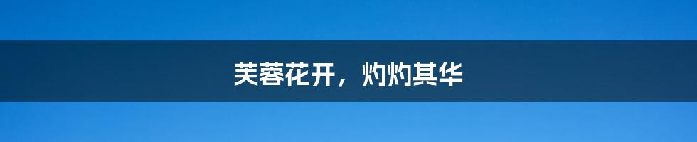 芙蓉花开,灼灼其华
