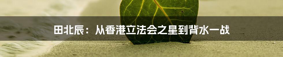 田北辰：从香港立法会之星到背水一战