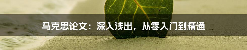 马克思论文:深入浅出,从零入门到精通