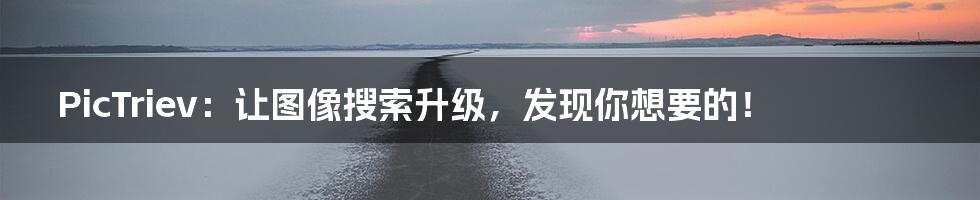 PicTriev：让图像搜索升级，发现你想要的！