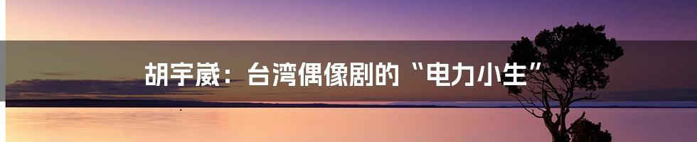 胡宇崴：台湾偶像剧的“电力小生”