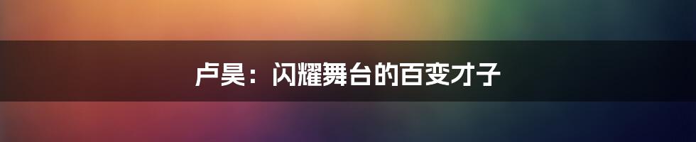 卢昊：闪耀舞台的百变才子