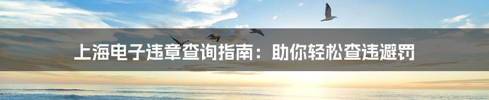 上海电子违章查询指南:助你轻松查违避罚
