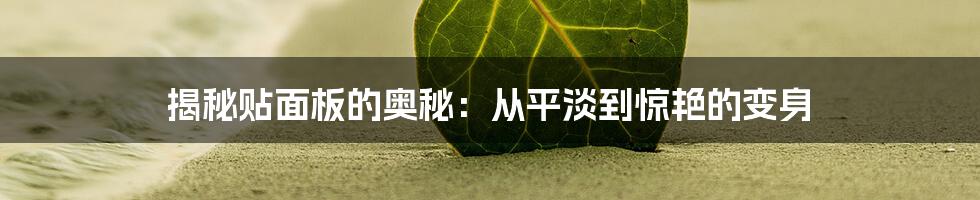 揭秘贴面板的奥秘：从平淡到惊艳的变身