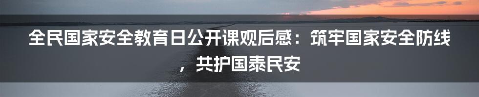 全民国家安全教育日公开课观后感:筑牢国家安全防线,共护国泰民安