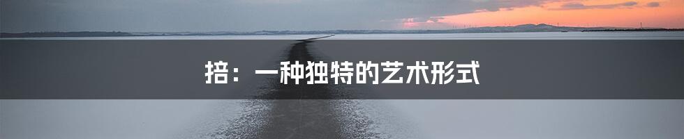 掊：一种独特的艺术形式