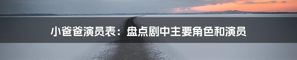 小爸爸演员表:盘点剧中主要角色和演员