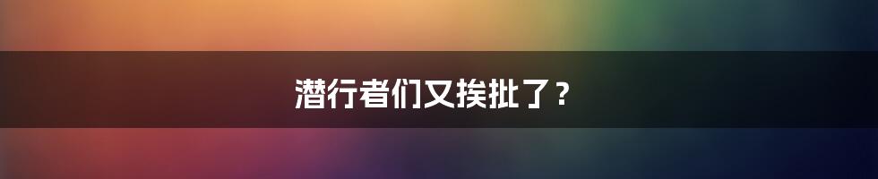潜行者们又挨批了?