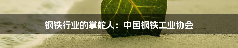 钢铁行业的掌舵人:中国钢铁工业协会