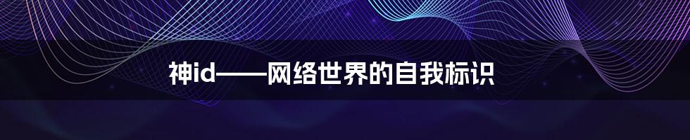 神id——网络世界的自我标识