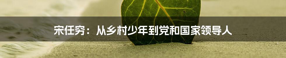 宋任穷：从乡村少年到党和国家领导人