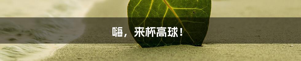 嗨,来杯高球!