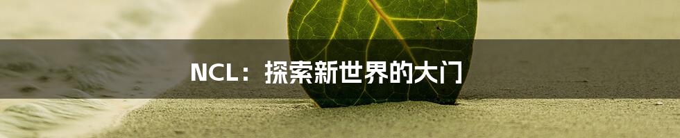 NCL:探索新世界的大门