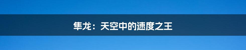 隼龙：天空中的速度之王
