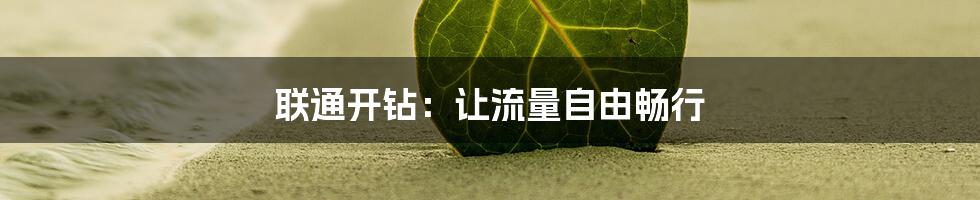 联通开钻：让流量自由畅行