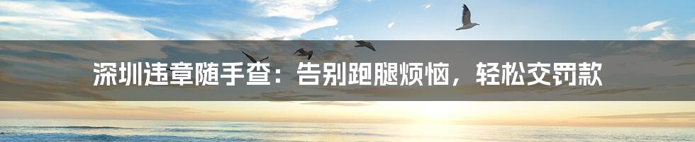 深圳违章随手查:告别跑腿烦恼,轻松交罚款