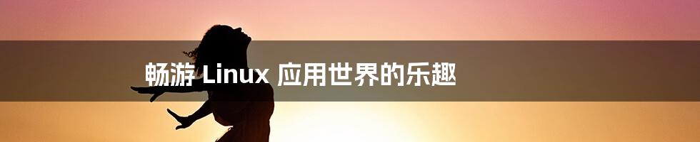 畅游 Linux 应用世界的乐趣