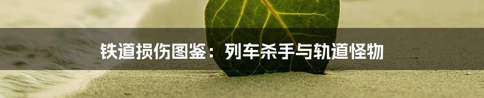铁道损伤图鉴:列车杀手与轨道怪物
