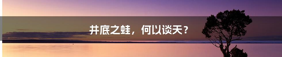 井底之蛙，何以谈天？