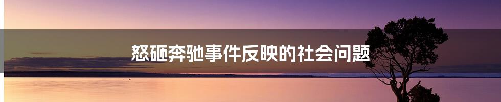 怒砸奔驰事件反映的社会问题