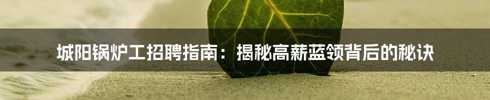 城阳锅炉工招聘指南：揭秘高薪蓝领背后的秘诀