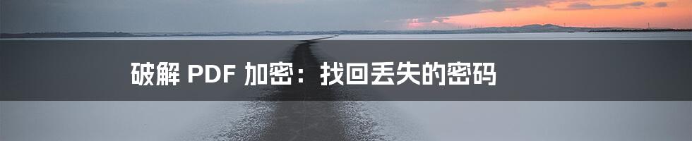 破解 PDF 加密：找回丢失的密码