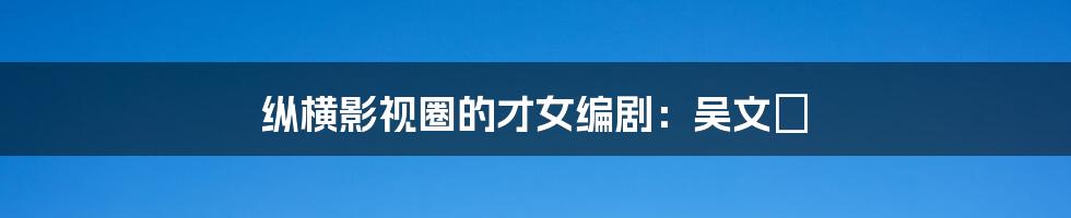 纵横影视圈的才女编剧:吴文璟