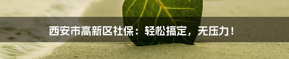 西安市高新区社保:轻松搞定,无压力!
