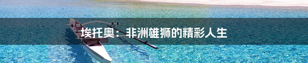 埃托奥:非洲雄狮的精彩人生