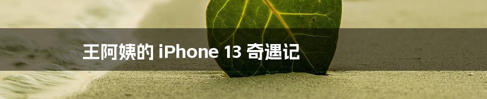 王阿姨的 iPhone 13 奇遇记