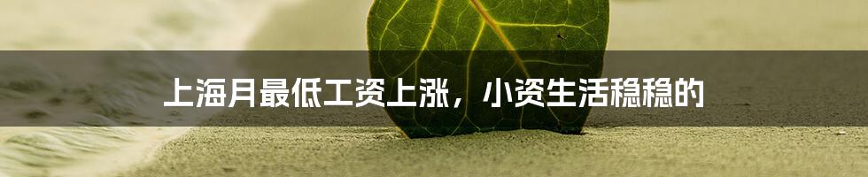 上海月最低工资上涨，小资生活稳稳的