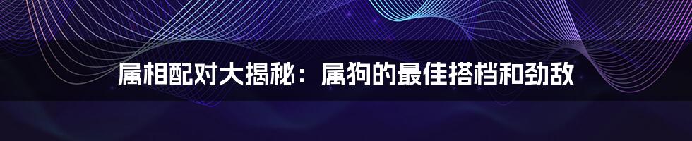 属相配对大揭秘:属狗的最佳搭档和劲敌