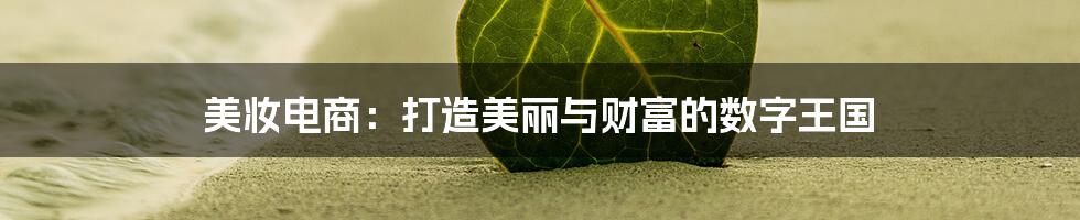 美妆电商:打造美丽与财富的数字王国
