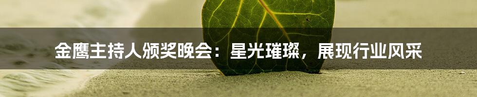 金鹰主持人颁奖晚会:星光璀璨,展现行业风采