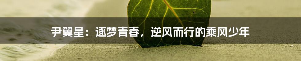 尹翼星：逐梦青春，逆风而行的乘风少年