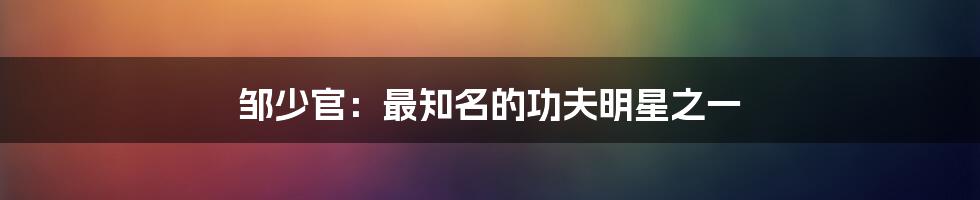 邹少官:最知名的功夫明星之一