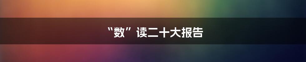 “数”读二十大报告