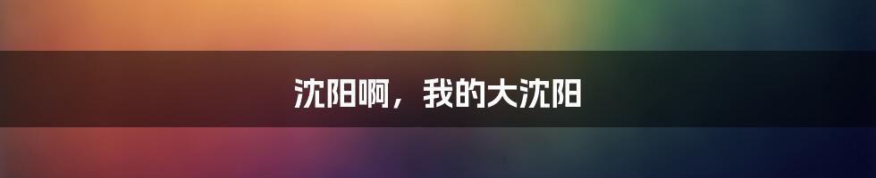 沈阳啊,我的大沈阳