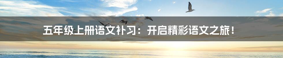 五年级上册语文补习:开启精彩语文之旅!